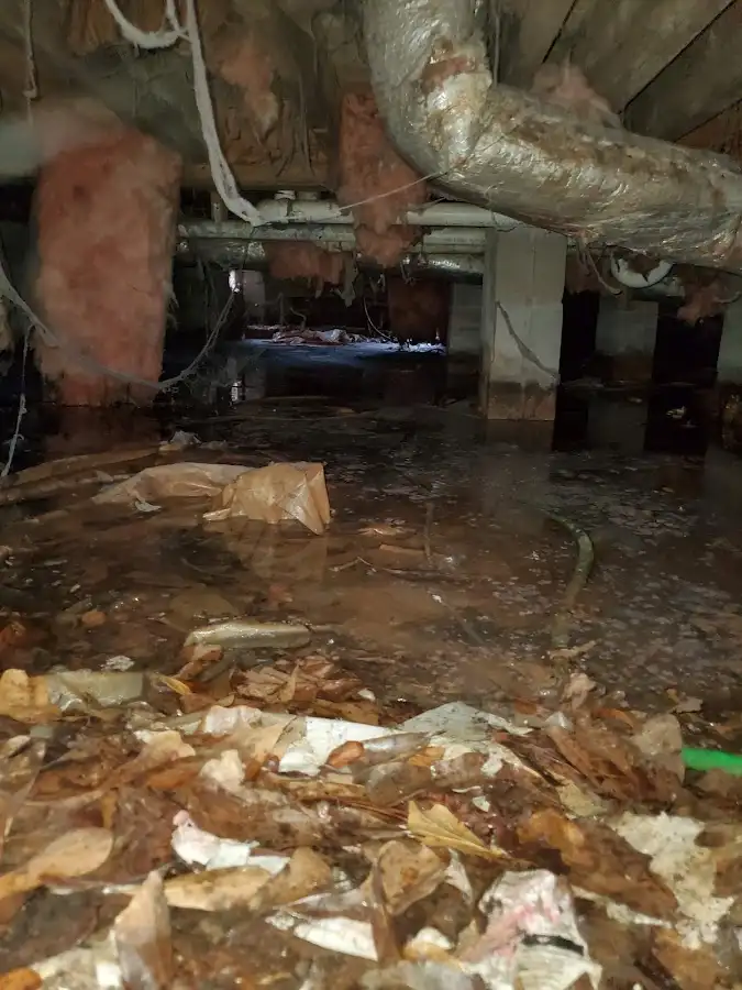 Crawl space flood assessment for Leak Detection & Repair in Suamico